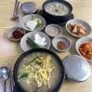 속초 아바이마을 갯배타고 놀고 온 완벽코스(선착장, 시간, 주차장)
