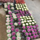 웅지와 나옹이 이미지