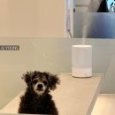 (주)피터펫 이미지