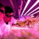 어린이 과학교실(봄학기) 이미지