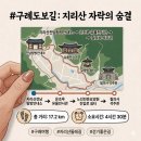 2026.05.24"[구례 100km 완주의 길] - 그 마지막여정"