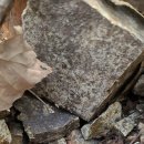 병옥농장 이미지