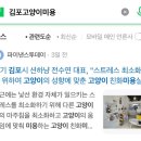 션하냥 이미지