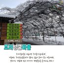 초리넝쿨마을 이미지