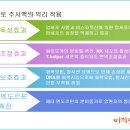 스위스한방병원 네이버블로그