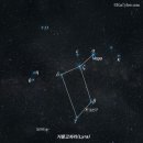 베가(VEGA) 이미지