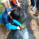 풍성한지역아동센터 이미지