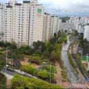 동부공인중개사사무소 이미지