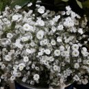 풍기장례식장 이미지