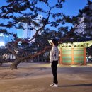 니트디자인(야간) 이미지