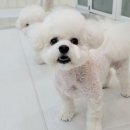 영도유치원 이미지