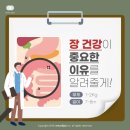 인셀덤 경주대리점