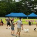 구로종합동물병원 이미지