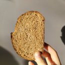 역빵집] 이탈리아의 맛 단호박 치아바타 추천_ 온더웨이 |먹물치아바타, 소금빵, 브리오슈, 깜빠뉴 맛집