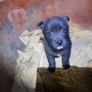 쌍책면사무소 이미지