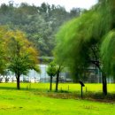 북서울꿈의숲(주차장) 이미지