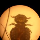 혜인종합동물병원 이미지