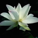 보현유통 이미지