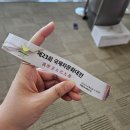2026 국제차문화대전 후기 | 내 통장 털려서 굶어야 함