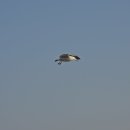 고잔근린공원 이미지