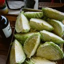 (주)이마트목포점 | [목포헬스장] 5년차 트레이너가 알려주는 1년동안 야채 꾸준하게 먹는 방법