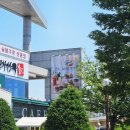 레인보우312