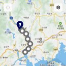 진월 돈탁마을 숲 티스토리