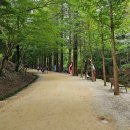 [2호차/여름휴가] 더위야 물렀거라! 지리산계곡 08월01일(금)~3일(일)/2박3일 신청해 주세요 이미지