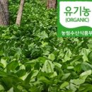 청산농장 | 6시내고향 영양 송이버섯 어수리 농장 정보 및 주문(청산에살리라)