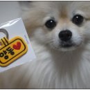 순구네 아이들 이미지