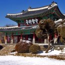 노적산 티스토리
