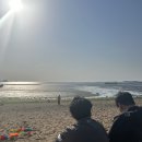 궁평항횟집 | 화성 궁평항 재방문 후기｜지난번 실패했던 횟집 이번엔 성공!