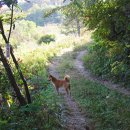 설악농장 이미지