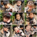 검은들농장 이미지