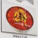 오로지생태한마리 이미지