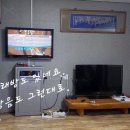 염소농장 Daum카페