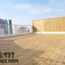 하이네스 이미지