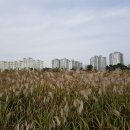 남악로 58번길 이미지