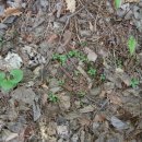 고노골농장 이미지