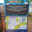해윰 - 중구 | 화성 궁평항 해윰캠핑장 후기, 궁평항 놀거리, 1박으로 놀기 좋아요