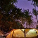 수목원캠핑장 이미지