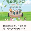 청보리축제장 | 봄바람 따라 떠나는 힐링 여행, 고창 청보리축제 2025 완벽 가이드