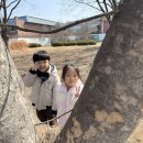 느티숲 이미지