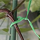 JJ COMPANY 이미지