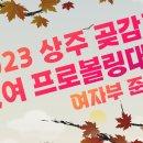 11월 22일 수요일 출똑~~ 이미지