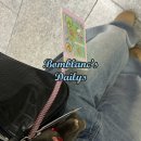 (주)아성다이소 구로디지털2호점 | 흐미.. 기후동행카드 분실 머양ㅠ