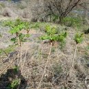 야산농장 이미지