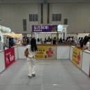 페따미꼬 이미지