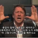 신기한언니들