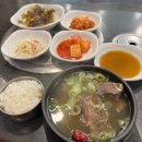 미스터타코야끼만두